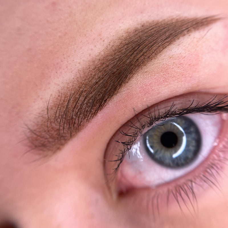Powderbrows basis opleiding